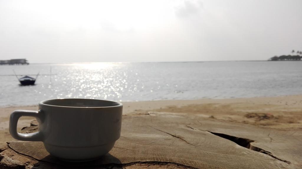 Rip Tide Vacation Inn, K.Guraidhoo غوريدهو المظهر الخارجي الصورة