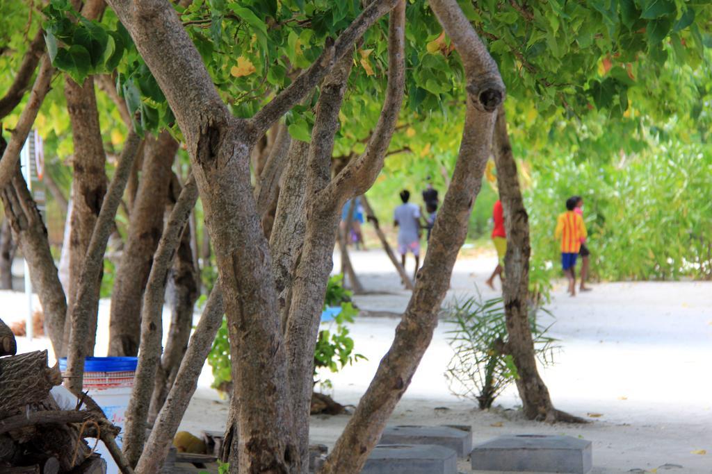 Rip Tide Vacation Inn, K.Guraidhoo غوريدهو المظهر الخارجي الصورة