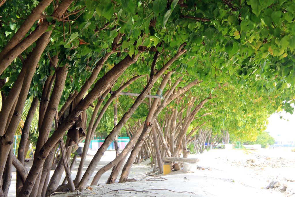 Rip Tide Vacation Inn, K.Guraidhoo غوريدهو المظهر الخارجي الصورة
