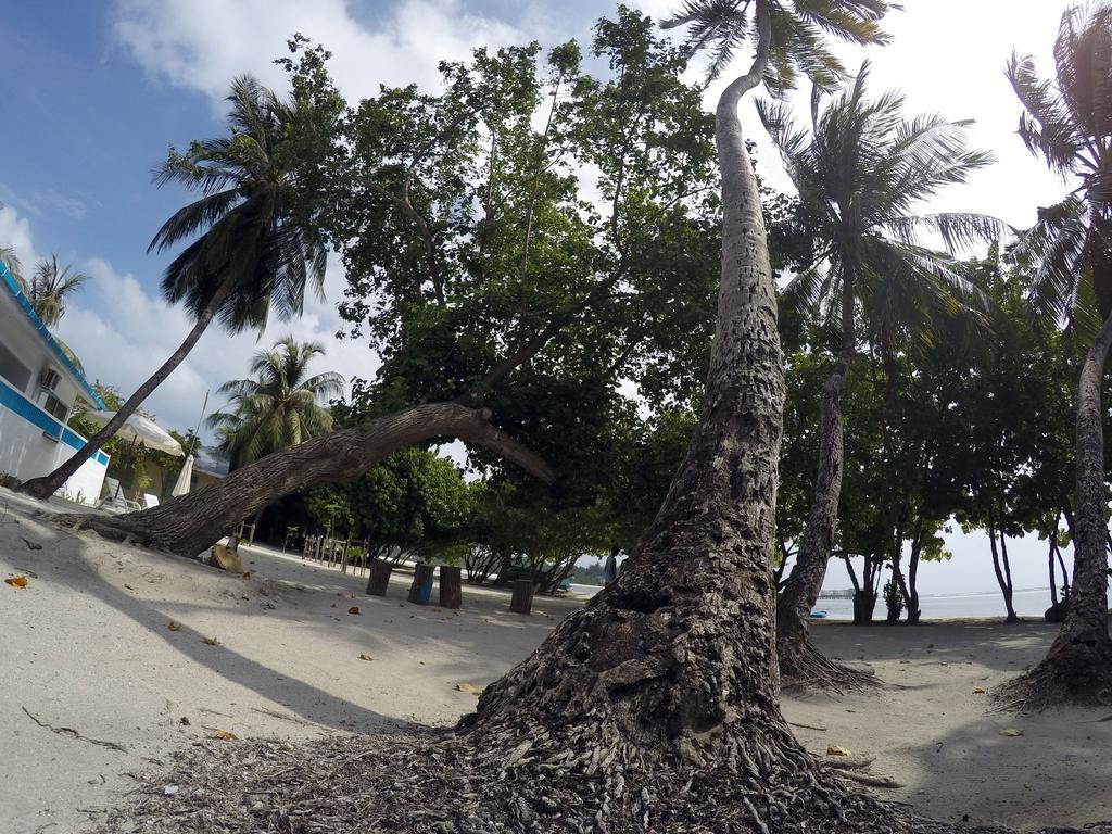 Rip Tide Vacation Inn, K.Guraidhoo غوريدهو المظهر الخارجي الصورة