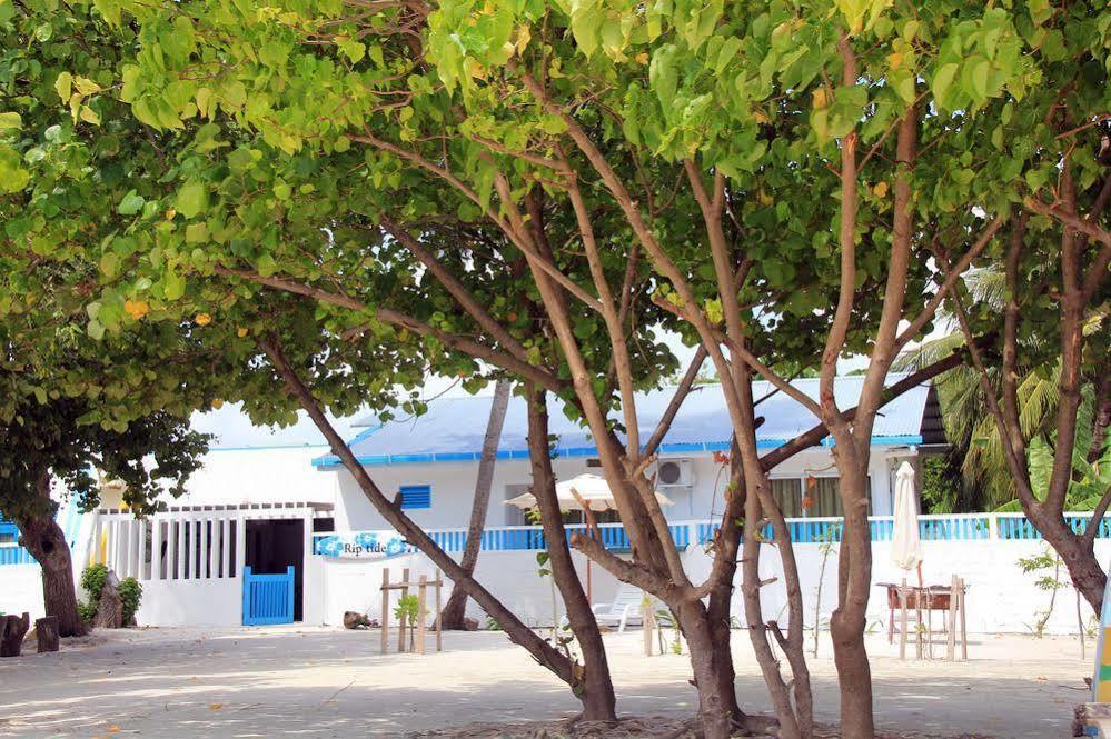 Rip Tide Vacation Inn, K.Guraidhoo غوريدهو المظهر الخارجي الصورة